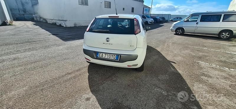 Usata Fiat Punto Evo Active 77 CV (56 kW) 2010 Bianco Utilitaria