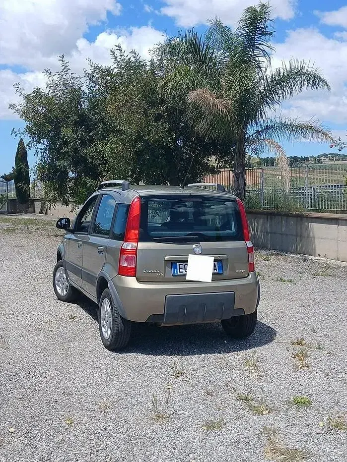 Usado Fiat Panda 4x4 69 CV (50 kW) 2011 Utilitario