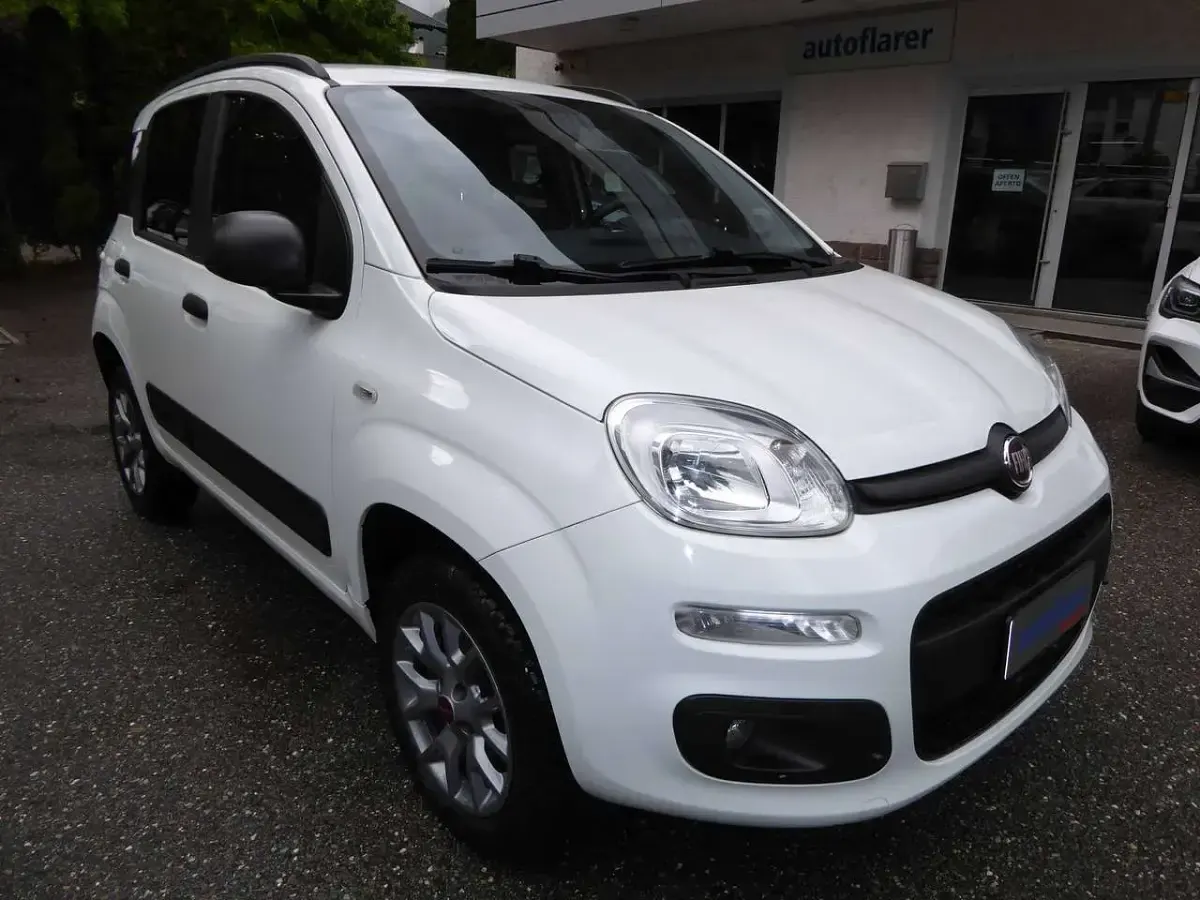Usata Fiat Panda 4x4 80 CV (58 kW) 2017 Bianco Utilitaria