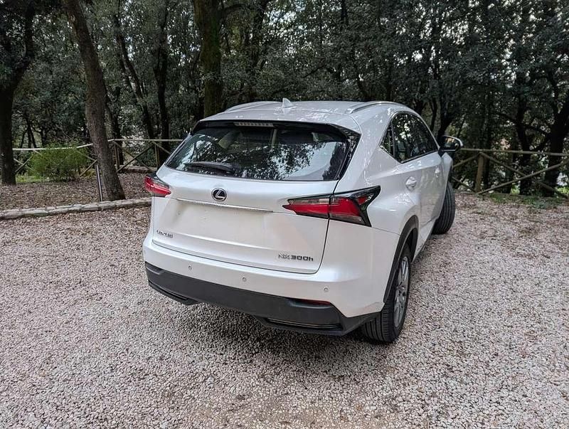 Usata Lexus NX300h Executive Line 155 CV (114 kW) 2015 Bianco SUV