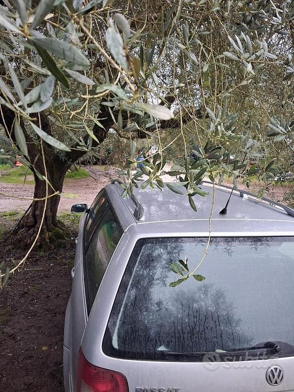 Usata VW Passat 2002 Grigio Station wagon