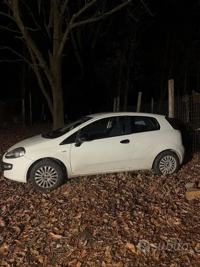 Usata Fiat Punto Evo 77 CV (56 kW) 2009 Bianco Utilitaria