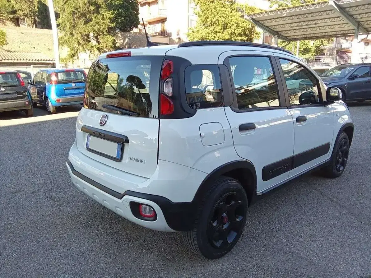 Usata Fiat Panda Cross Cross 69 CV (50 kW) 2022 Bianco Utilitaria