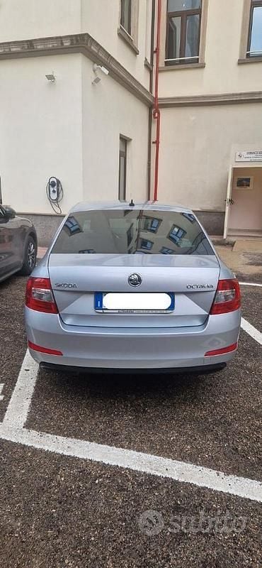 Usata Skoda Octavia 2016 Grigio Berlina