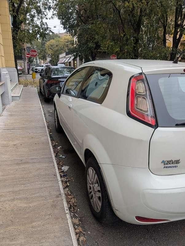 Usata Fiat Punto Pop 69 CV (50 kW) 2012 Bianco Berlina