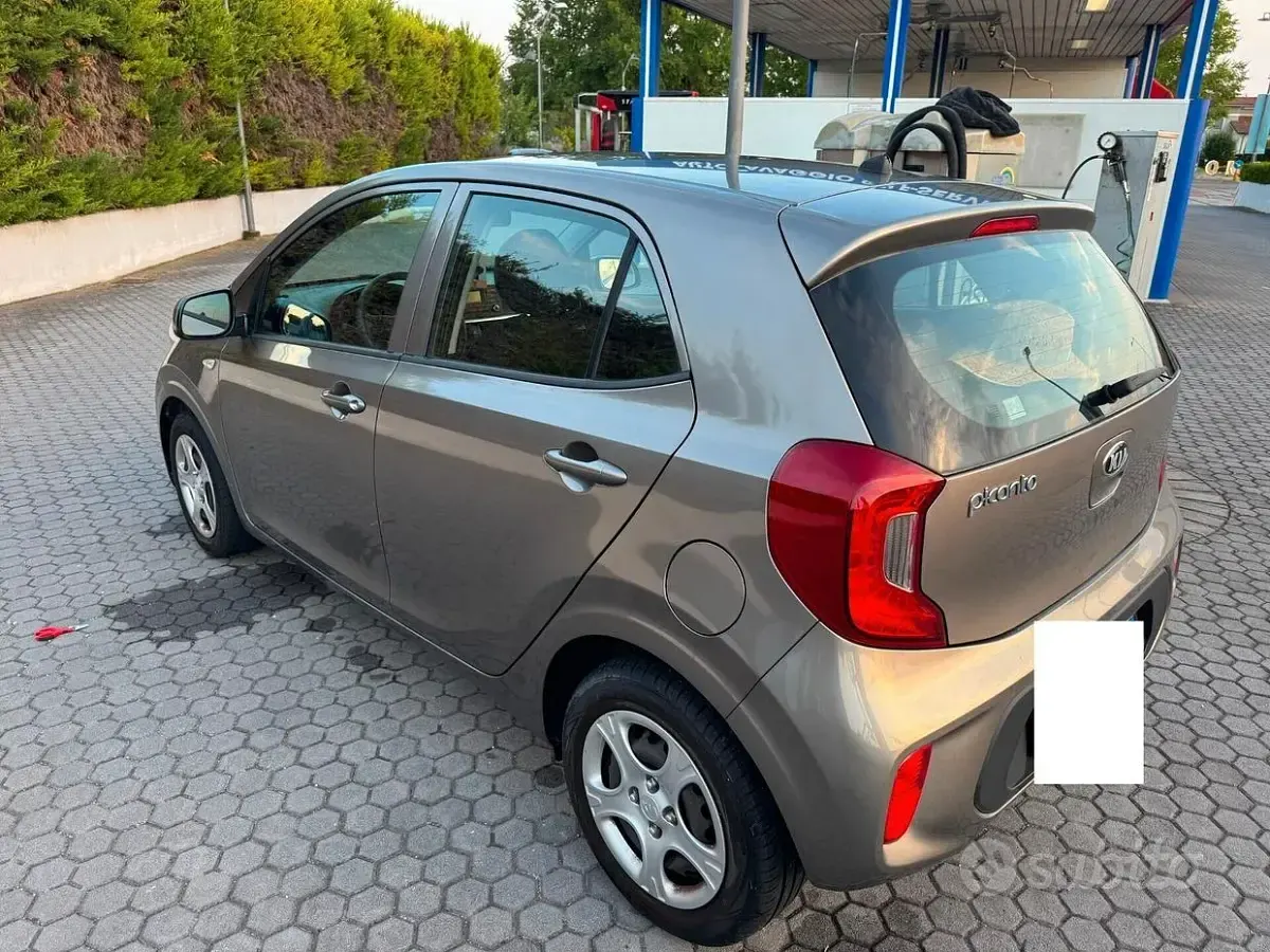 Usata Kia Picanto X-Line 67 CV (49 kW) 2019 Grigio Utilitaria