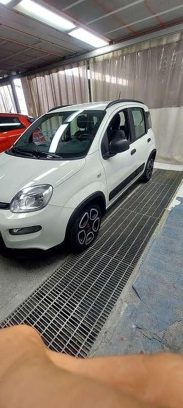 Usata Fiat Panda Connect 69 CV (50 kW) 2021 Utilitaria