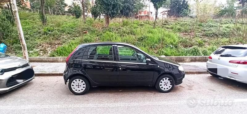 Usata Fiat Punto 77 CV (56 kW) 2009 Utilitaria