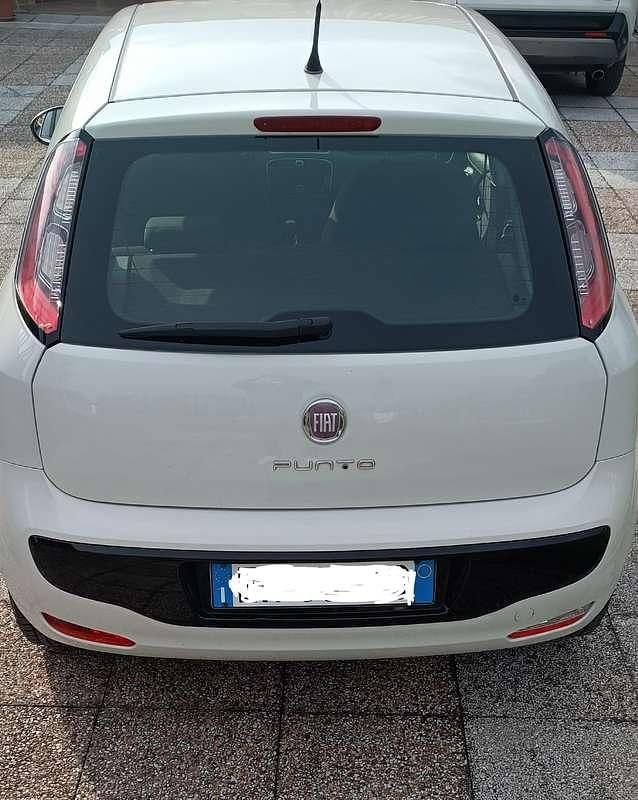 Usata Fiat Punto Evo S 69 CV (50 kW) 2011 Utilitaria