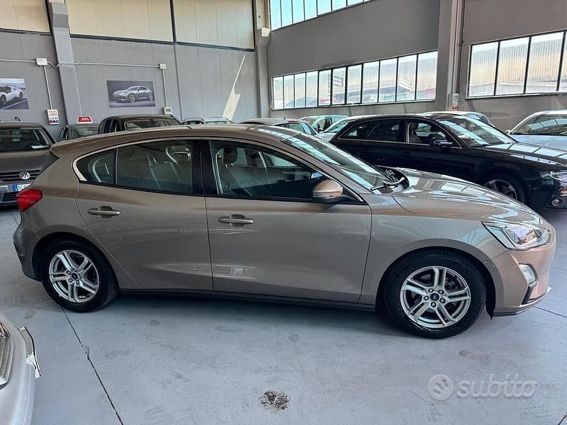 Usata Ford Focus Business Edition 120 CV (88 kW) 2019 Marrone Berlina