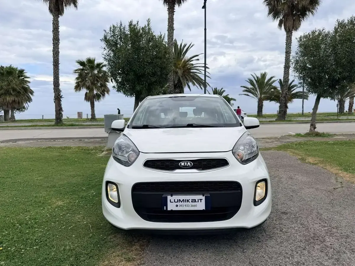 Usado Kia Picanto 65 CV (47 kW) 2016 Blanco Utilitario