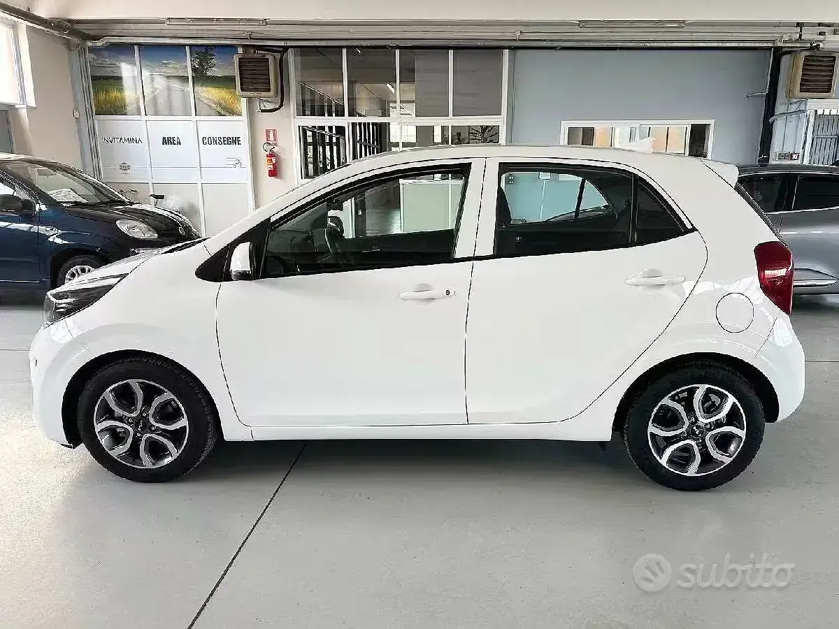 Usata Kia Picanto X-Line 65 CV (47 kW) 2024 Bianco Utilitaria