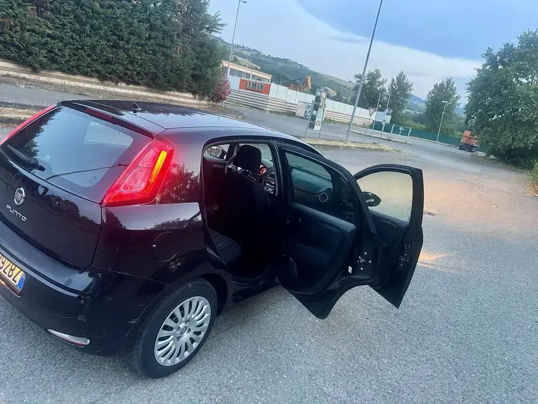 Usata Fiat Punto Evo Dynamic 95 CV (69 kW) 2011 Utilitaria