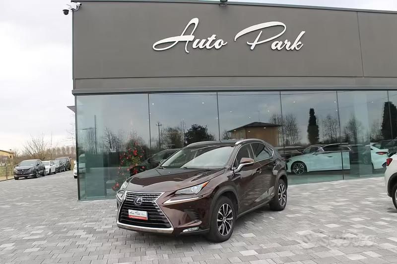 Usata Lexus NX300h Business Edition 155 CV (114 kW) 2018 Marrone SUV