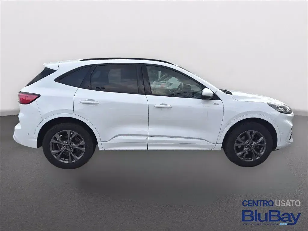 Usata Ford Kuga ST-Line 225 CV (165 kW) 2023 Frozen white SUV