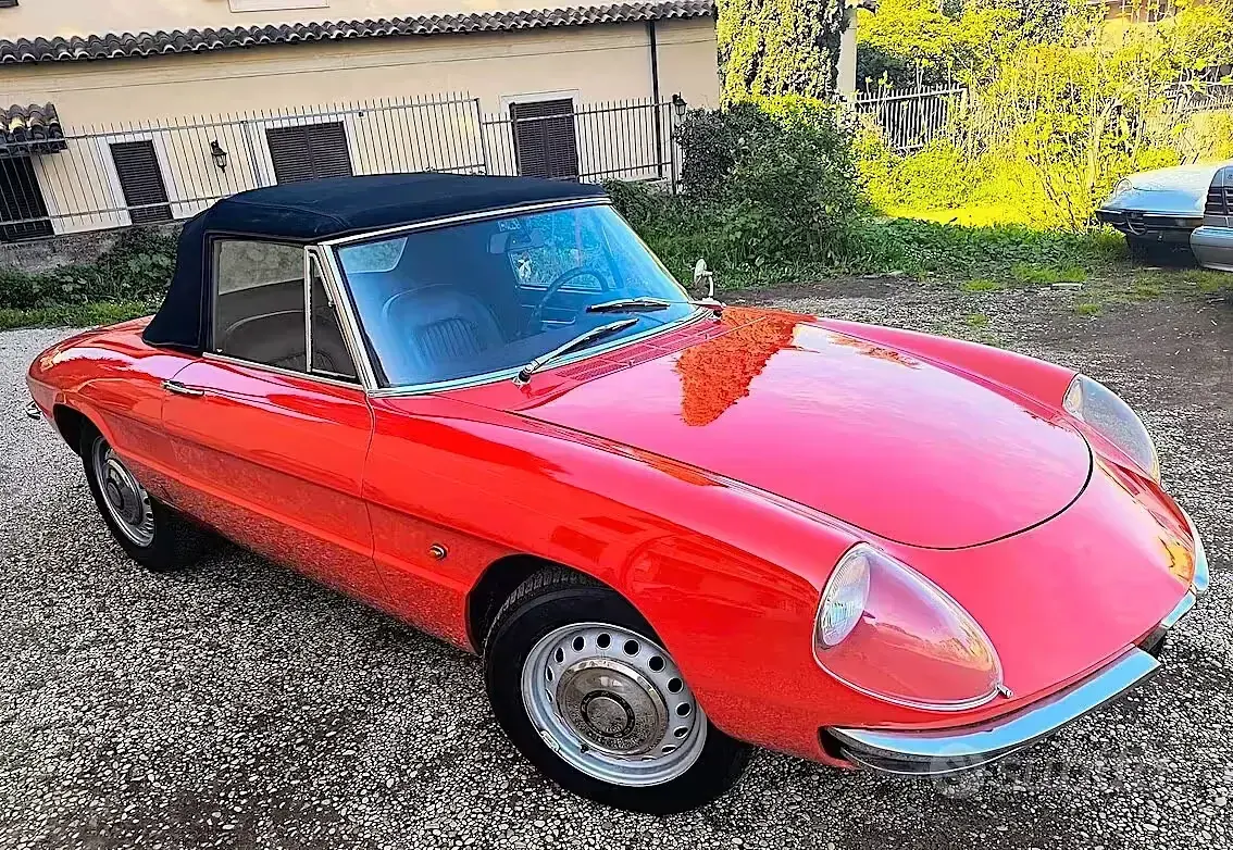 Usata Alfa Romeo Spider 102 CV (75 kW) 1960 Rosso Cabrio