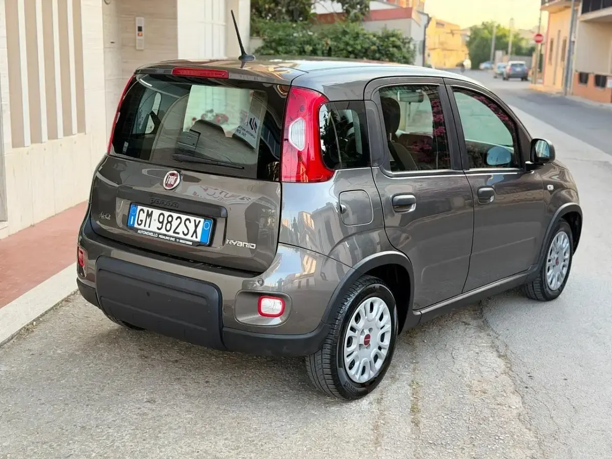Usata Fiat Panda City Life 70 CV (51 kW) 2023 Grigio Utilitaria