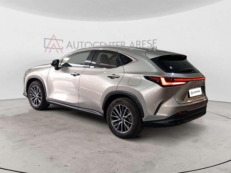 Usata Lexus NX300 190 CV (139 kW) 2023 Golden sand SUV