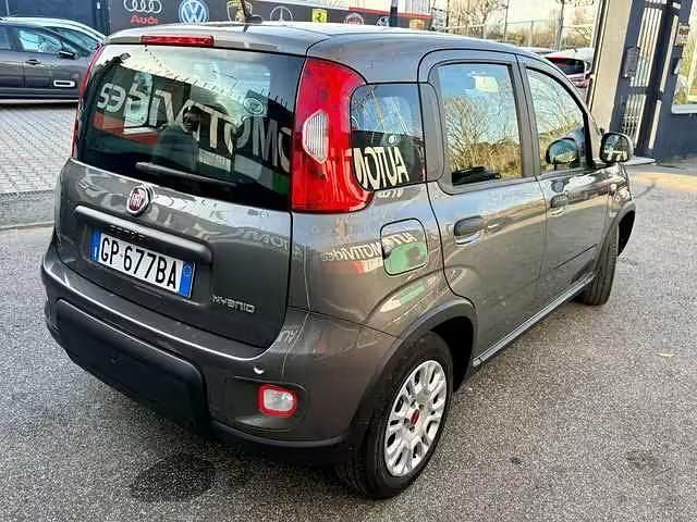 Usata Fiat Panda 69 CV (50 kW) 2023 Grigio Utilitaria