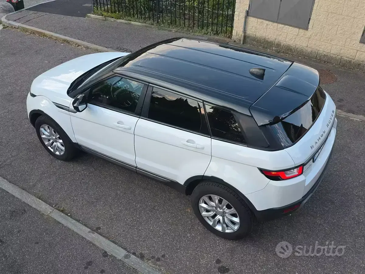 Usata Land Rover Range Rover evoque SE Dynamic 150 CV (110 kW) 2018 Bianco SUV
