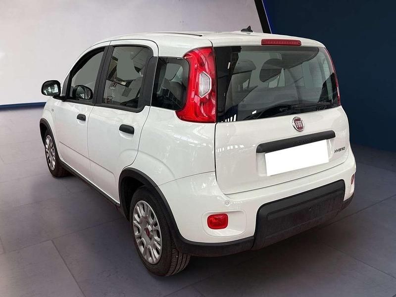 Usata Fiat Panda S 69 CV (50 kW) 2023 Bianco Utilitaria