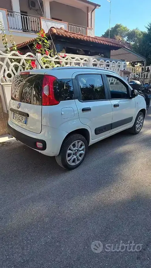 Usata Fiat Panda 4x4 85 CV (62 kW) 2019 Bianco Utilitaria