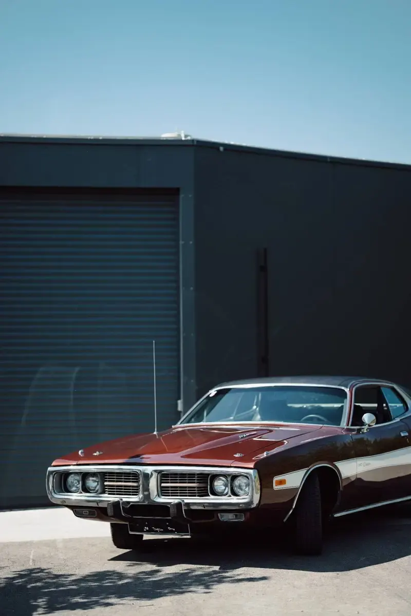 Usata Dodge Charger 264 CV (194 kW) 1973 Marrone Coupé