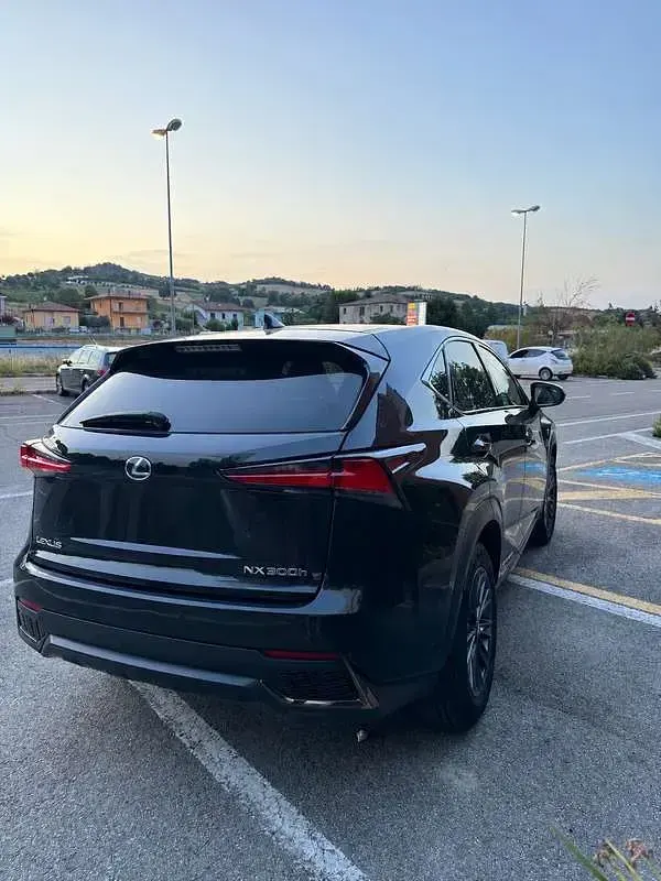 Usata Lexus NX300h Sport Line 152 CV (111 kW) 2019 SUV