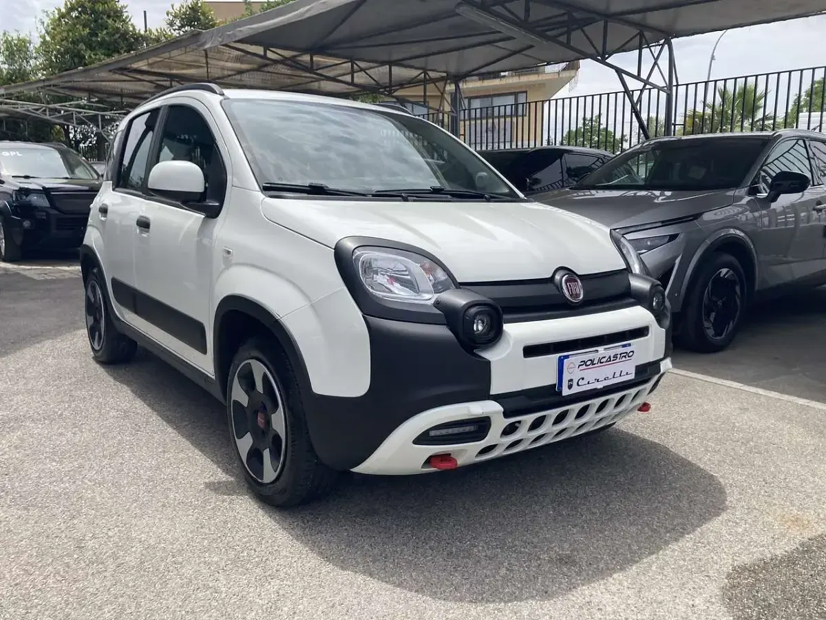 Usata Fiat Panda Cross Cross 69 CV (50 kW) 2023 Bianco Utilitaria