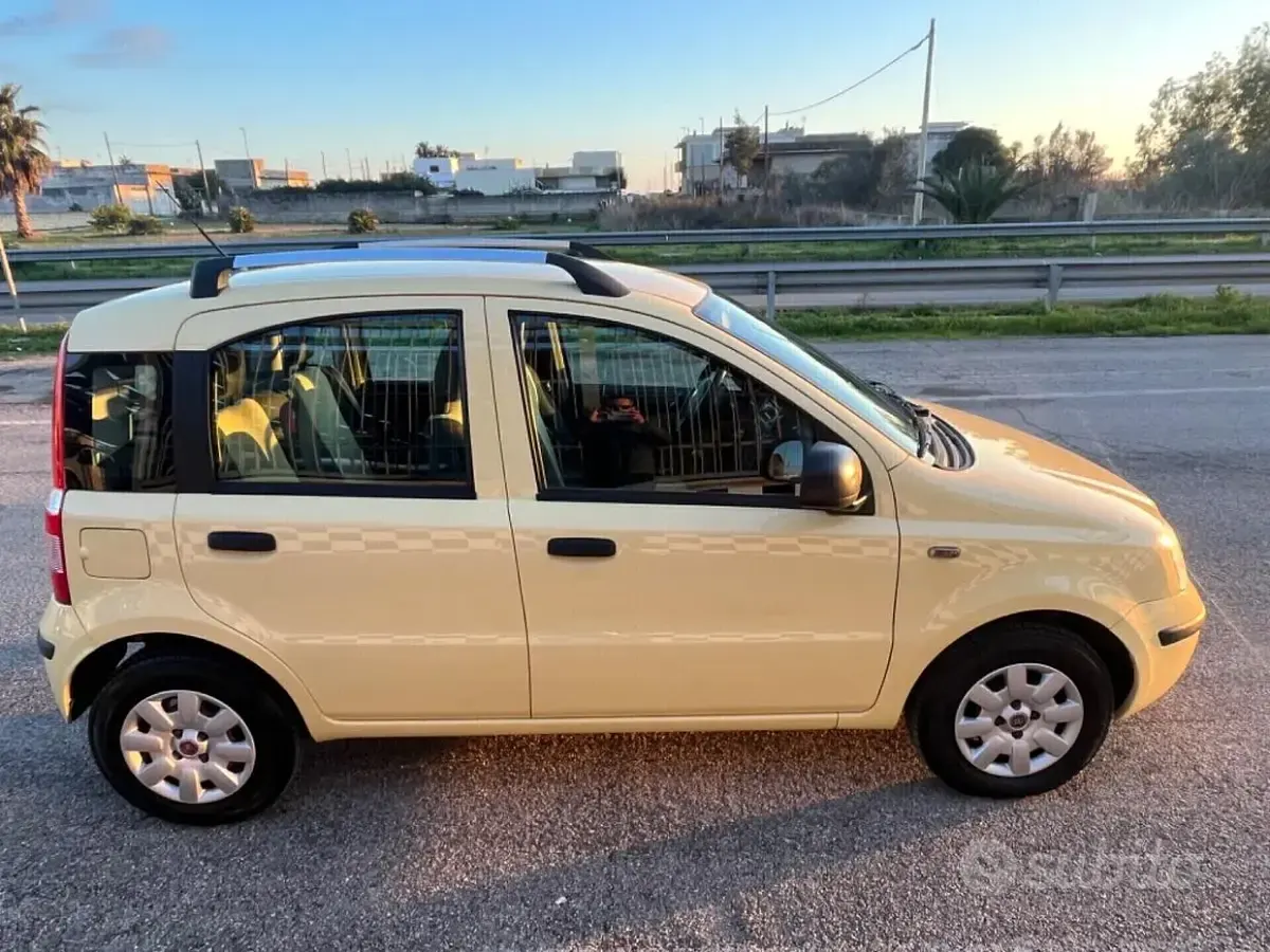 Usata Fiat Panda Dynamic 60 CV (44 kW) 2010 Giallo Utilitaria