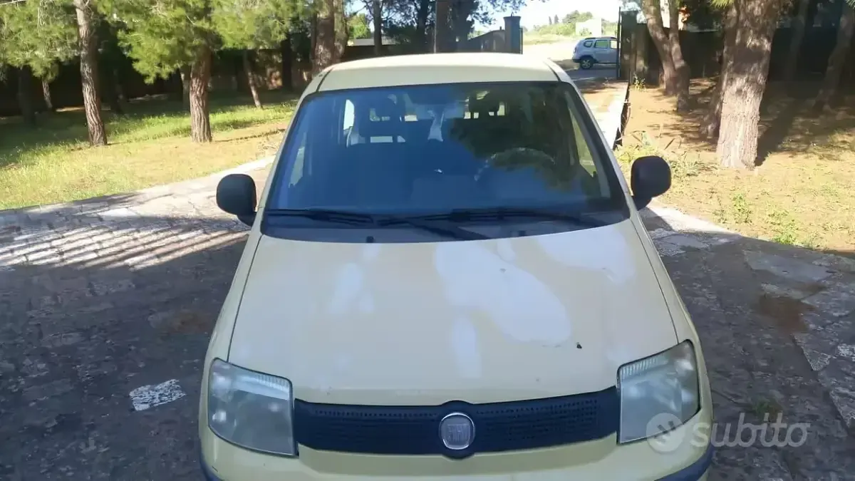 Usata Fiat Panda Active 54 CV (39 kW) 2010 Giallo Utilitaria