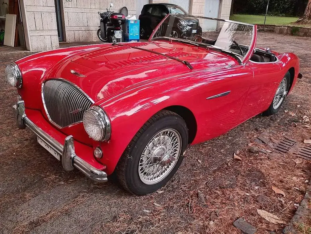 Usata Austin Healey 100 91 CV (66 kW) 1994 Rosso Cabrio