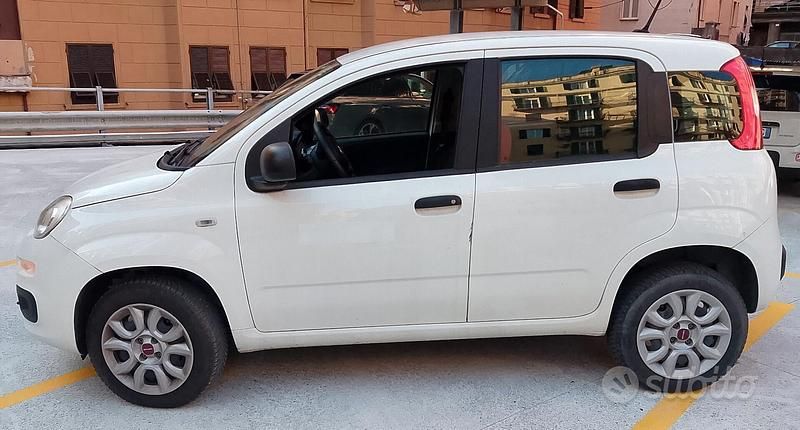 Usata Fiat Panda 84 CV (61 kW) 2020 Bianco Utilitaria