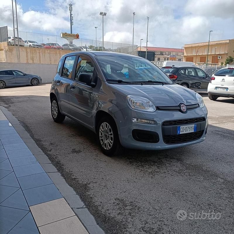 Usata Fiat Panda Easy 69 CV (50 kW) 2020 Grigio Utilitaria