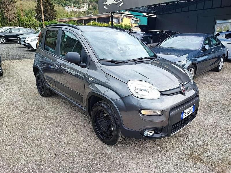 Usata Fiat Panda 4x4 S 86 CV (63 kW) 2018 Grigio Utilitaria