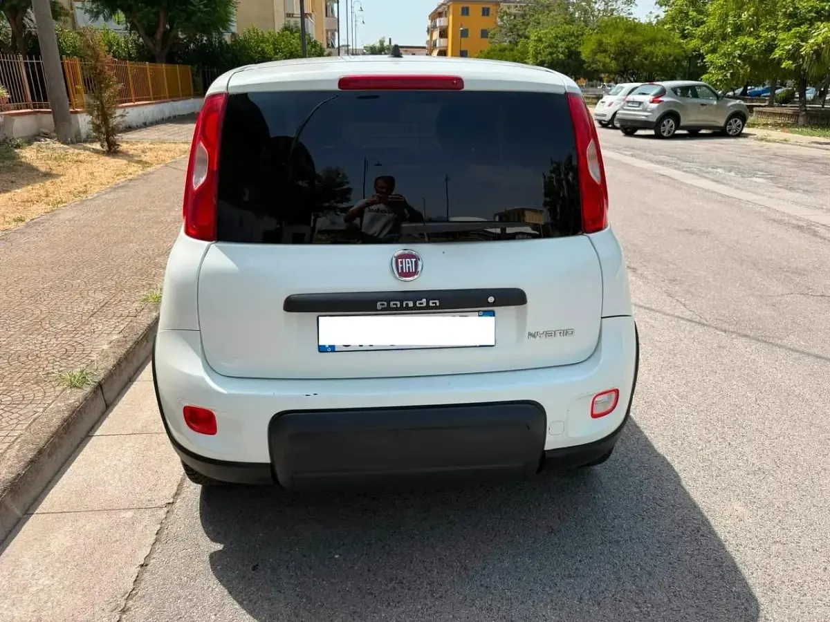 Usata Fiat Panda Pop 70 CV (51 kW) 2023 Bianco Utilitaria