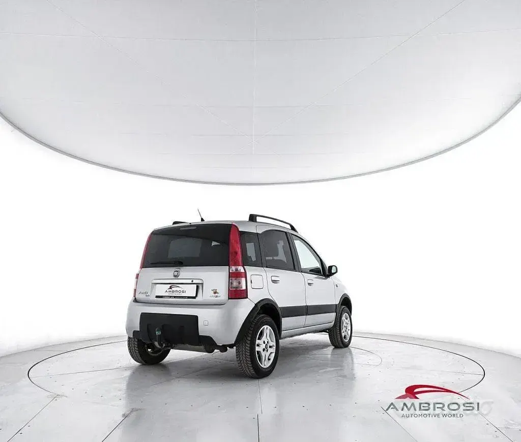 Usata Fiat Panda 4x4 Cross 69 CV (50 kW) 2007 Grigio Utilitaria