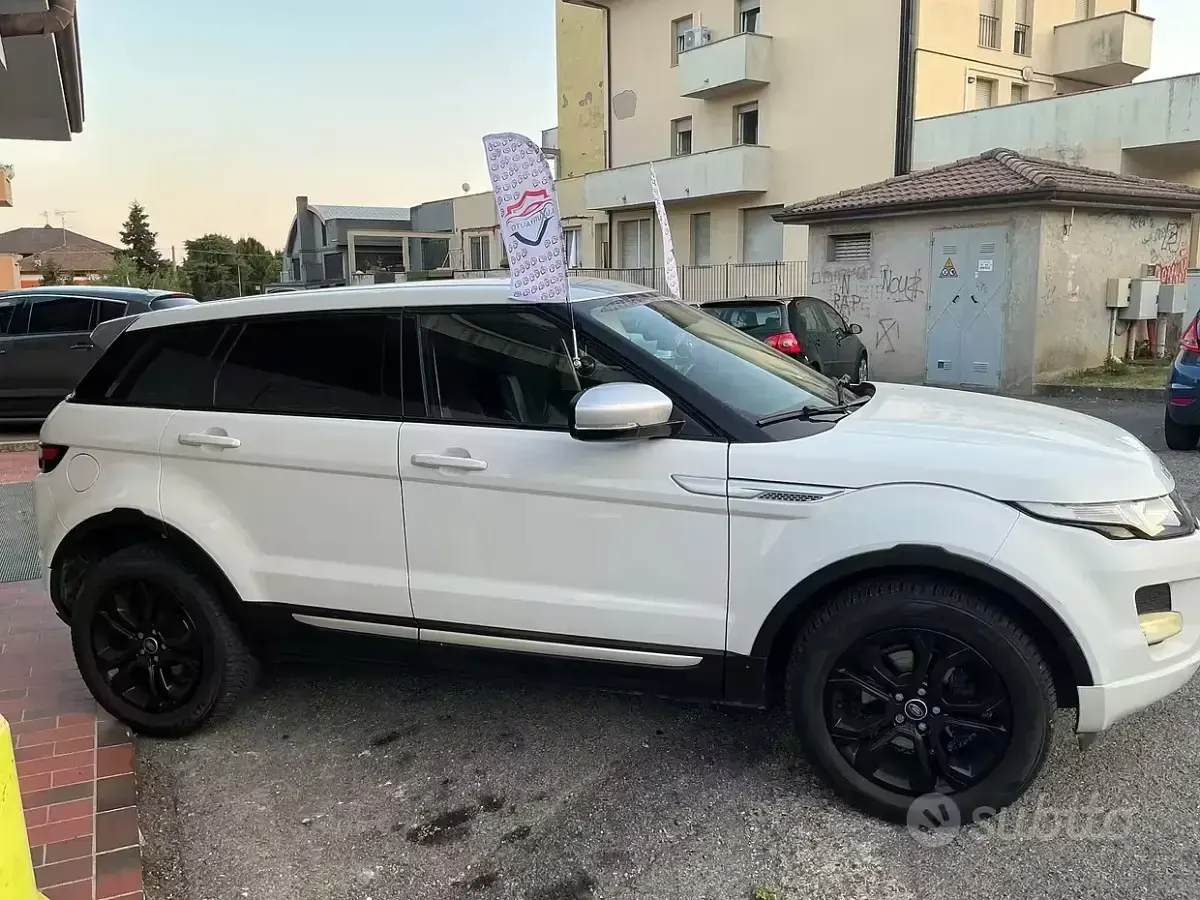Usata Land Rover Range Rover evoque Dynamic 190 CV (139 kW) 2013 Bianco SUV