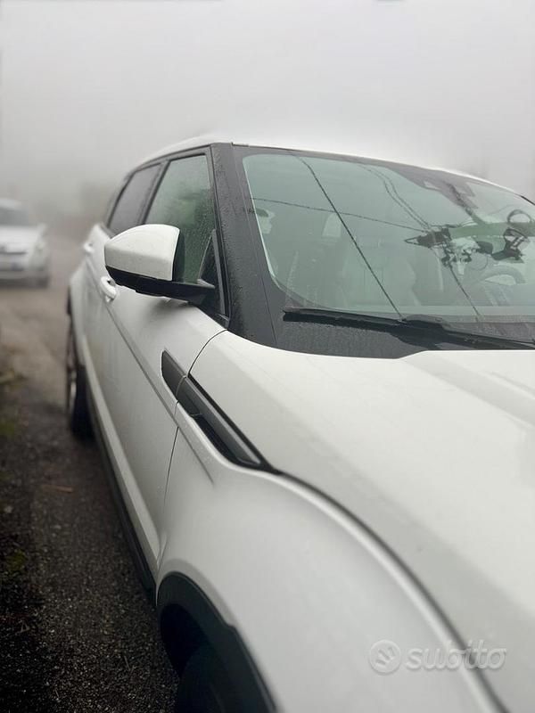 Usata Land Rover Range Rover evoque 150 CV (110 kW) 2016 Bianco SUV