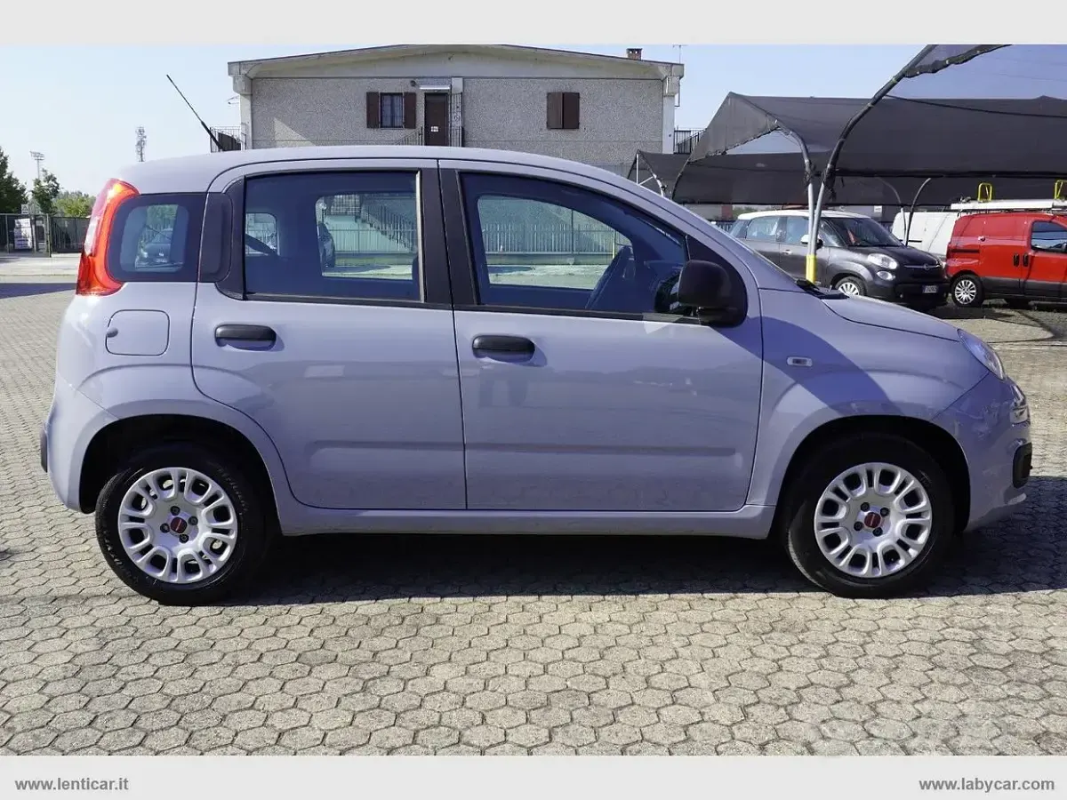 Usata Fiat Panda Easy 69 CV (50 kW) 2019 Grigio Utilitaria