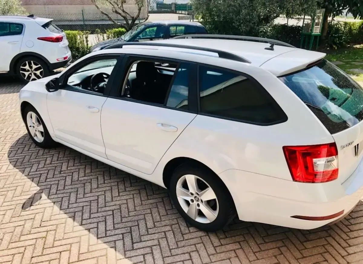 Usata Skoda Octavia Executive 116 CV (85 kW) 2018 Bianco Station wagon