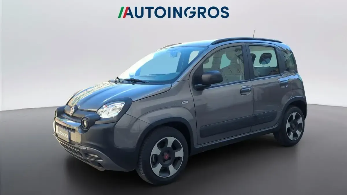 Usata Fiat Panda Cross Cross 69 CV (50 kW) 2021 Utilitaria