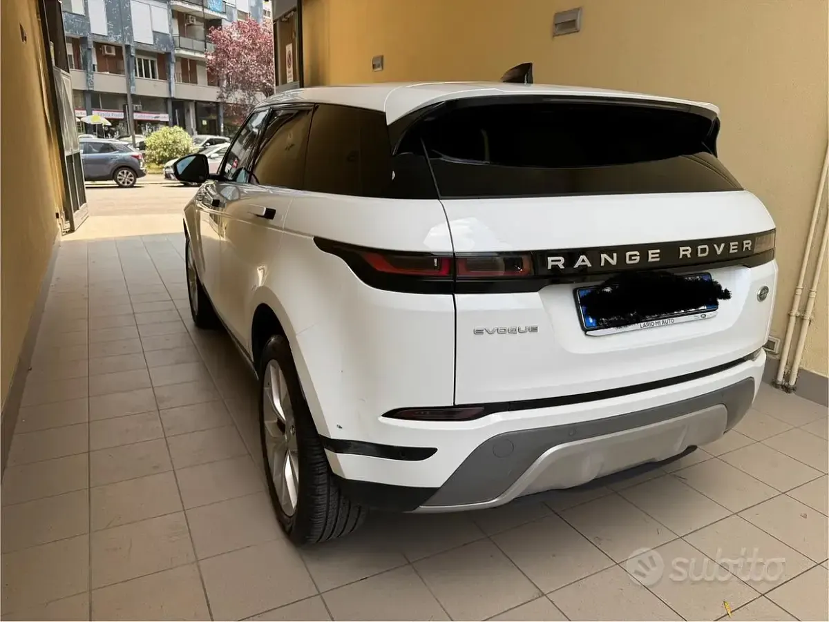 Usata Land Rover Range Rover evoque SE 150 CV (110 kW) 2021 Bianco SUV