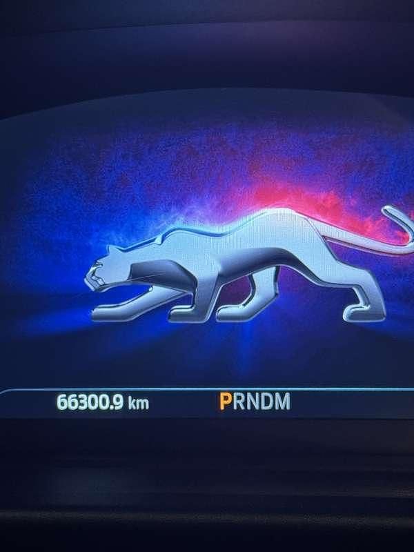 Usata Ford Puma ST-Line X 125 CV (91 kW) 2021 SUV