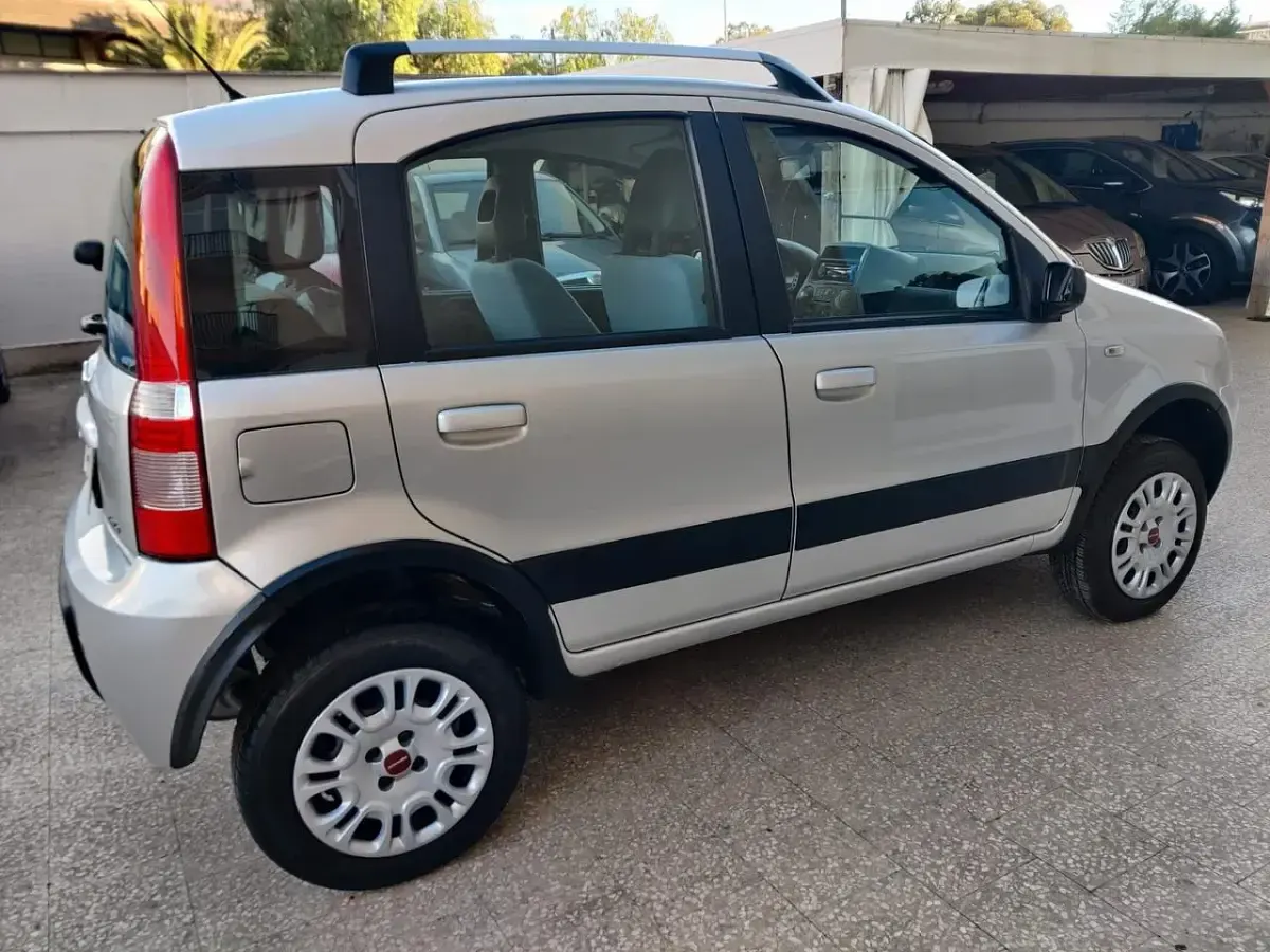 Usata Fiat Panda 4x4 75 CV (55 kW) 2009 Grigio Utilitaria