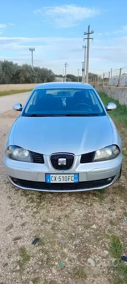 Second-hand Seat Ibiza 75 CP (55 kW) 2005 Gri Hatchback