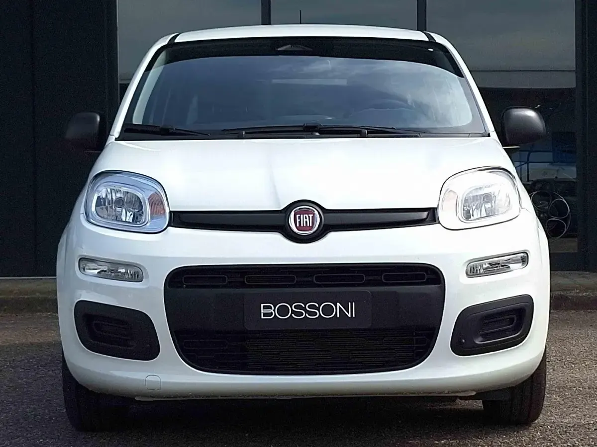 Usata Fiat Panda Icon 65 CV (47 kW) 2026 Bianco Utilitaria