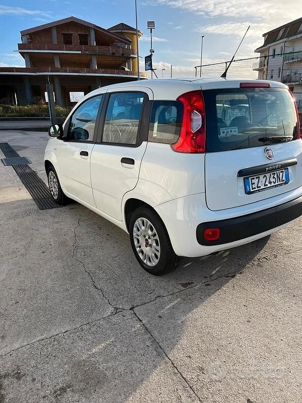 Usata Fiat Panda Easy 75 CV (55 kW) 2015 Bianco Utilitaria