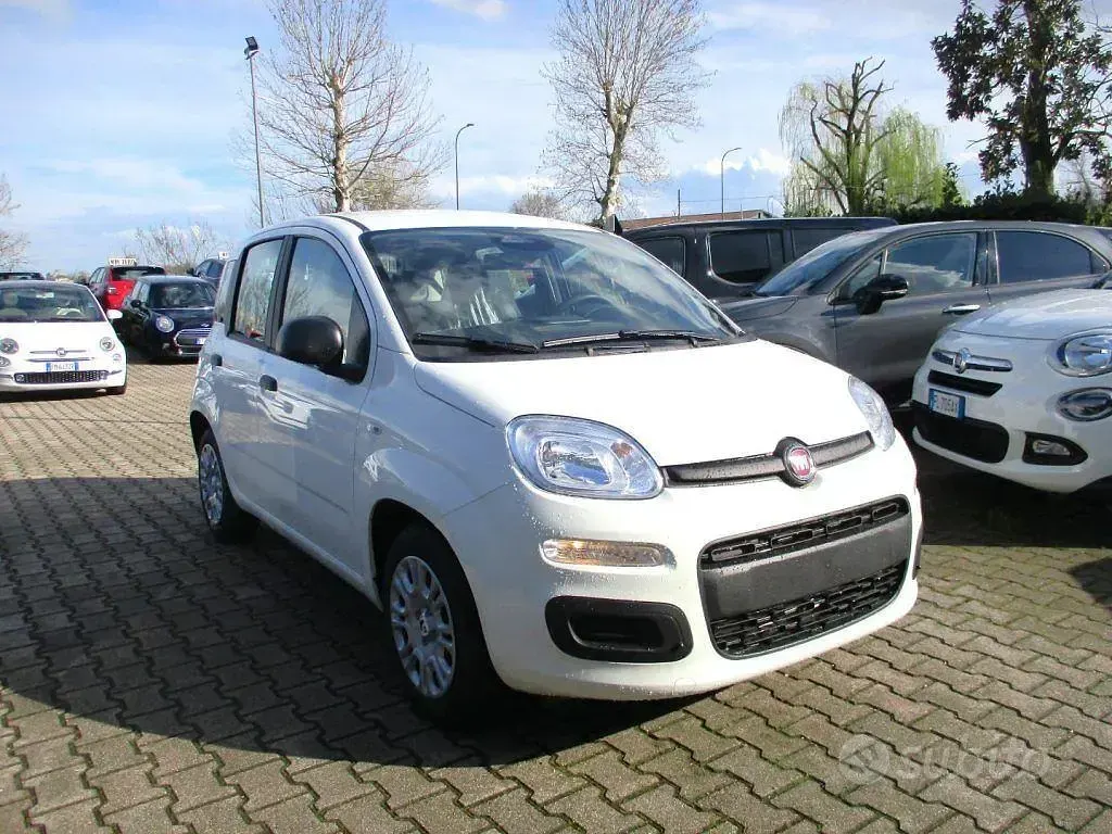 Nuova Fiat Panda S 69 CV (50 kW) 2025 Bianco Utilitaria