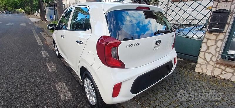 Usata Kia Picanto 2020 Bianco Utilitaria